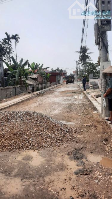 Bán đất Lão Phú - Tân Phong - Kiến Thụy - Hải Phòng - 4