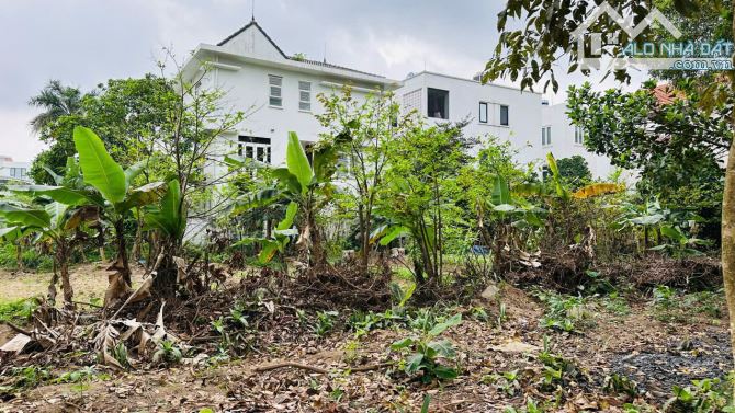 (Siêu rẻ) Đất khy Mê Linh, Anh Dũng - 290m2 - mt 14,5m - hướng TN - đường 25m - giá 22tr/m - 4