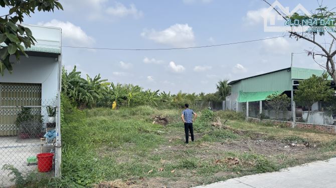 CẦN BÁN LÔ ĐẤT 300m2 MẶT TIỀN ĐƯỜNG BỜ LÁT XÃ THANH PHÚ BẾN LỨC - 4