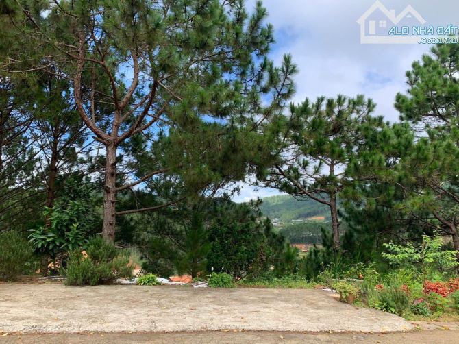 ❣️ BÁN ĐẤT MẶT TIỀN KQH AN SƠN, P.4 – ĐÀ LẠT (THỰC TẾ) - 4