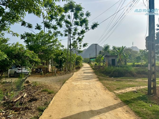 500m Full Đất Ở Kim Bôi - Lô Góc Phân Lô Đẹp - Giá 650 Triệu - 5