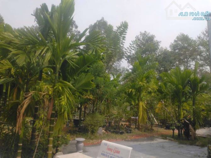 Bán 456 m2  đất có nhà đường Nguyễn Văn Linh - 6