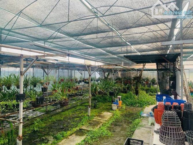 Cần bán đất + nhà vườn ở nghĩ dưỡng mặt tiền view kênh sông xã Thái Mỹ 5300m2 - 6