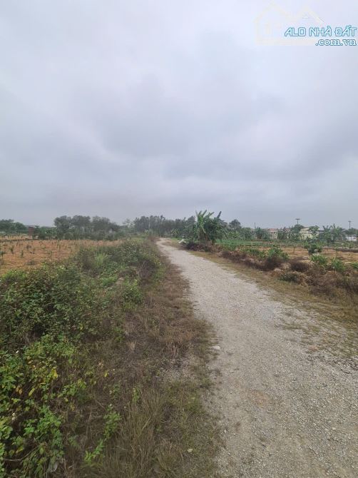 Bán đất đấu giá Xuân Ổ B . dt 80m . mt 5,5m . hướng TN . giá 5ty2