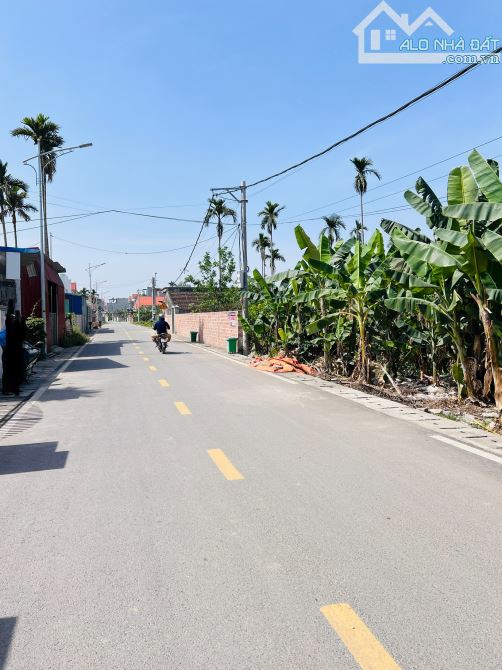 ‼️Trục liên thôn trải nhựa Sú 1 Lâm Động - Thuỷ Nguyên✅sát đường vành đai 2👉giá 3,1x tỷ