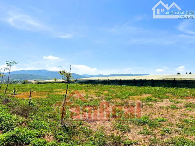 ĐẤT NỀN ĐƠN DƯƠNG – VỊ TRÍ ĐẸP, GIÁ TỐT