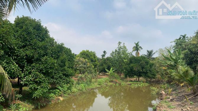 Tin thật 3650 m2 đất xã Tam An Huyện Long Thành Đồng Nai