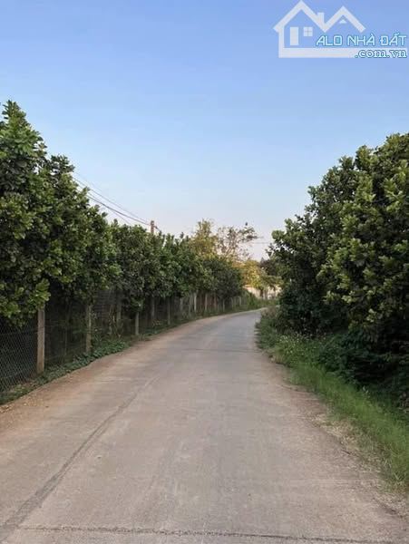 Bán lô Đất Thị Trấn ngãi Giao 160m mặt tiền . Đất phủ hồng 80% có 250 thổ cư