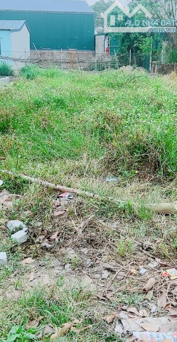 HOA HẬU ĐẠI MẠCH NGÕ THÔNG Ô TÔ NGỦ TRONG ĐẤT HÀNG XÓM CẦU THƯỢNG CÁT 98M ZÁ RẺ - 1