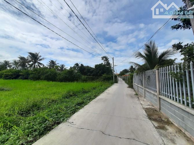 Đất thổ vườn 1085m2 (239m2 thổ cư) đường DT830B ngay UBND xã Tân Trạch - 1