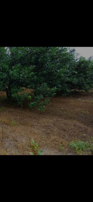 Bán gấp đất 700m2 mặt tièn view sông P.Hiệp Hòa, Shr thổ cư, ô tô, gần cầu an hảo, 5ty9 TL - 1