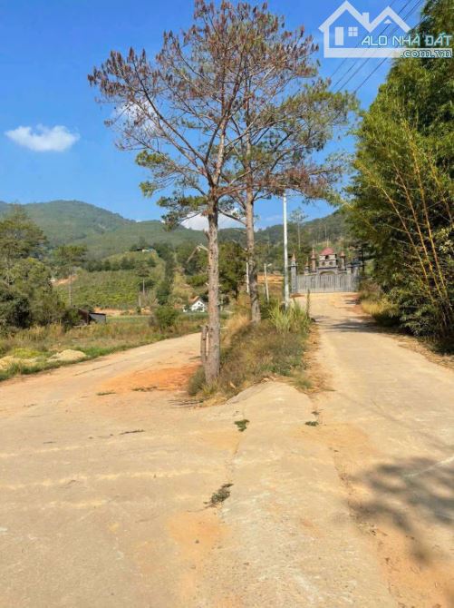 Đất Biệt thự - Pren - Hiệp an - Đức trọng. -148m2 - 2.8 tỷ-  view rừng thông - 1