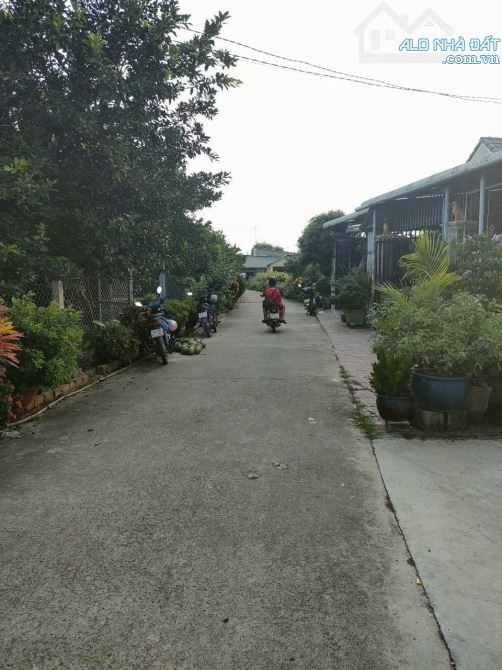 Bán vườn bưởi 2 mặt tiền View rạch, Tân Bình, Vĩnh Cửu, 850m2, giá 5 tỷ 500. - 1