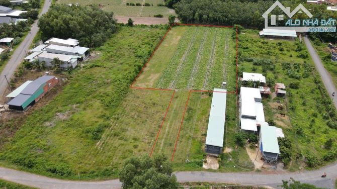4.500 m2 đất HNK phù hợp TC mặt tiền đường nhựa thông - 1