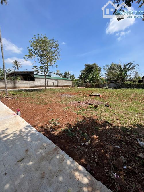 ❌  BÁN GẤP LÔ ĐẤT 2 MẶT TIỀN ĐƯỜNG MẬU THÂN (24X20,5M). 💰  2 TỶ 950 - 1
