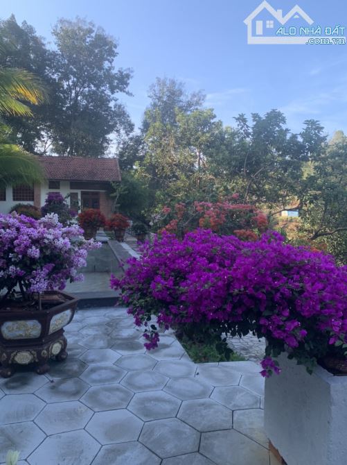 Trung tâm p. Tân Lợi BMT sở hữu ngay 6 sào hiếm có view đỉnh 17 tỷ - 1