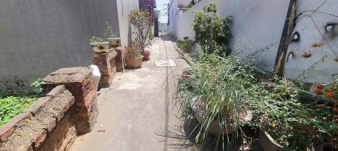 Mua Bán Đất Xã Tăng Tiến, Huyện Việt Yên Giá Rẻ T4/2025 - 1