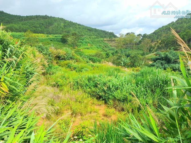 Bán đất view đẹp rừng thông khu dân cư trung tâm Đà Lạt, đi Hồ Xuân Hương hơn 4km - 1