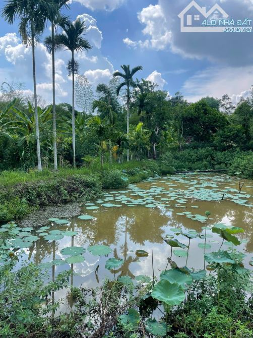 💥  CẦN BÁN 3,3 SÀO ĐẤT VIEW HỒ SUỐI TẠI HOÀ THẮNG- TP. BMT- 8 TỶ - 2
