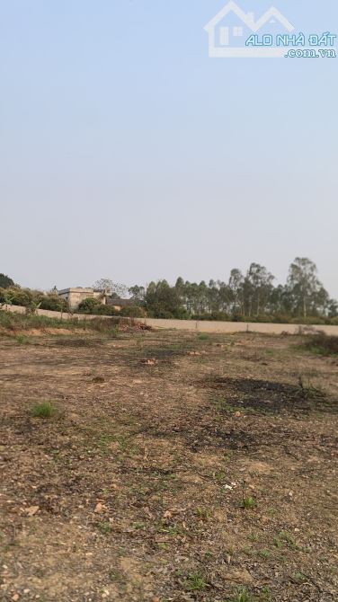 10.000m2, Yên Thế, Bắc Giang, 400TC, mặt tiền rộng, 1,8 tỷ - 2