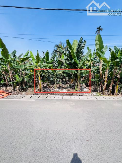 ‼️Trục liên thôn trải nhựa Sú 1 Lâm Động - Thuỷ Nguyên✅sát đường vành đai 2👉giá 3,1x tỷ - 2