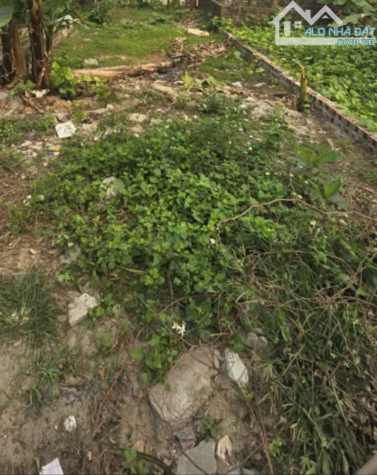 BÁN LÔ ĐẤT HIẾM, CÒN SÓT - LAI XÁ, HOÀI ĐỨC - LÔ GÓC - TRƯỚC NHÀ Ô TÔ TRÁNH, DỪNG ĐỖ NGÀY - 2