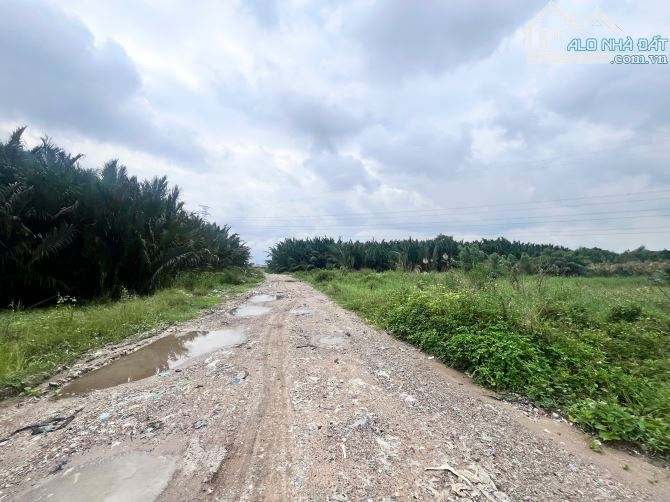 BÁN ĐẤT MẶT HẺM 366 PHẠM HỮU LẦU, NHÀ BÈ 4500m2. Giá 4tr/m2 - 2