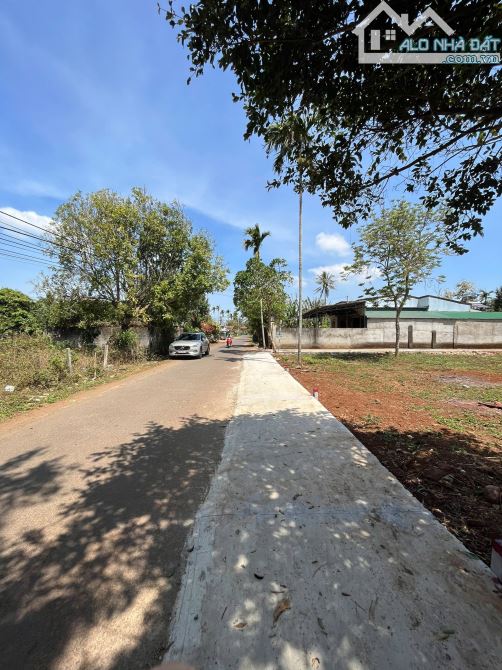 ❌  BÁN GẤP LÔ ĐẤT 2 MẶT TIỀN ĐƯỜNG MẬU THÂN (24X20,5M). 💰  2 TỶ 950 - 2