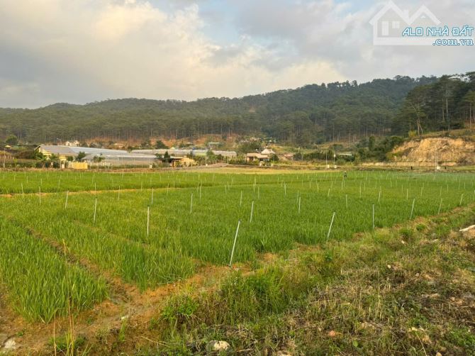 Hiếm - Bán miếng đất gần 3000m2 ngay khu du lịch lá phong, cách TT Đà Lạt 15p - chỉ 22 tỷ - 2