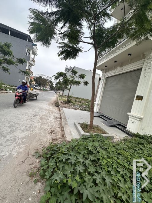 🔥🔥Siêu phẩm TĐC Vườn Mơ 71,4m2 hướng nam siêu vượng vận9 - 2