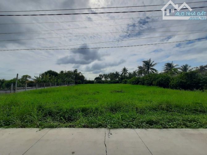 Đất thổ vườn 1085m2 (239m2 thổ cư) đường DT830B ngay UBND xã Tân Trạch - 3