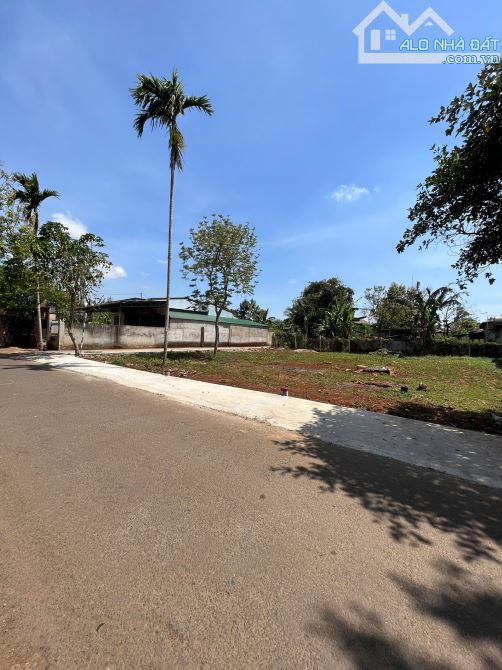 ❌  BÁN GẤP LÔ ĐẤT 2 MẶT TIỀN ĐƯỜNG MẬU THÂN (24X20,5M). 💰  2 TỶ 950 - 3