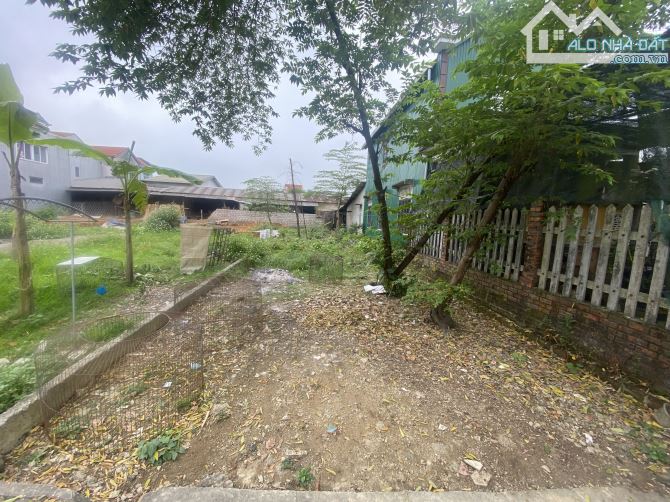 Bán lô đất đẹp vuông Nho Lâm, Quảng Phú, Quảng Điền. - 2