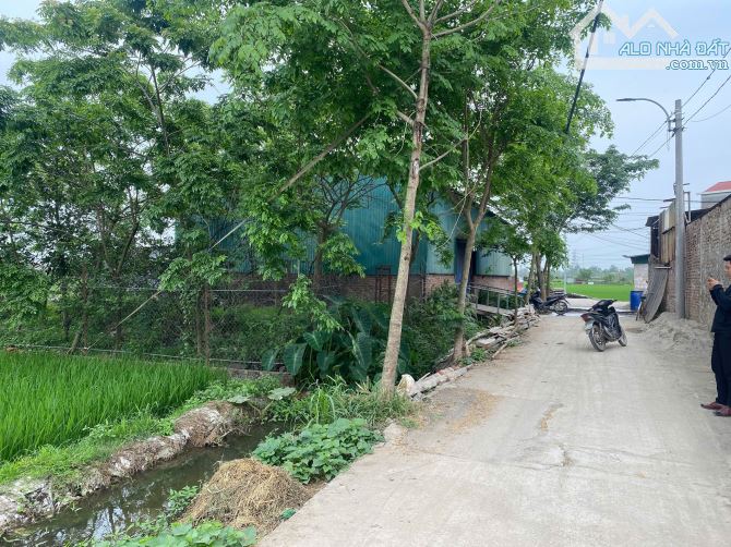 💥F0 RA LÒ,SIÊU HỜI CHO LÔ ĐẤT BÌA LÀNG ĐẸP LÔ ĐẤT VÀNG BIỂU KHÊ – THỤY LÂM - 4