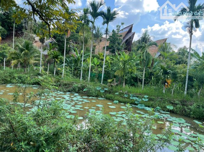 💥  CẦN BÁN 3,3 SÀO ĐẤT VIEW HỒ SUỐI TẠI HOÀ THẮNG- TP. BMT- 8 TỶ - 4
