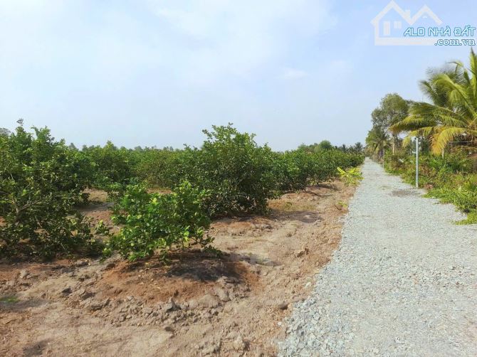 Hàng thơm, chỉ 420tr sở hữu lô góc 500m2 đất vườn view kênh - 4