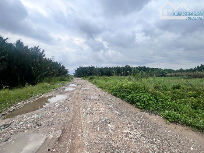 BÁN ĐẤT MẶT HẺM 366 PHẠM HỮU LẦU, NHÀ BÈ 4500m2. Giá 4tr/m2 - 4