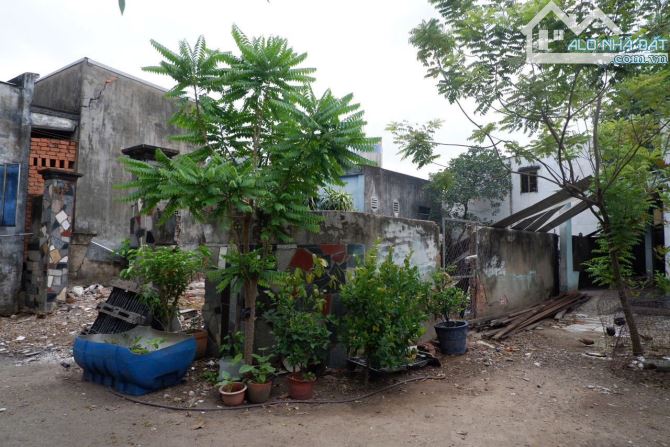 2,5Tỷ TL🔥Bán đất 85m2 gần chợ Đông Hòa 500m, p.Đông Hòa, Tp.Dĩ An - 4