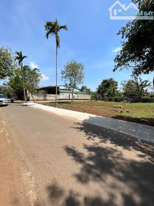 ❌  BÁN GẤP LÔ ĐẤT 2 MẶT TIỀN ĐƯỜNG MẬU THÂN (24X20,5M). 💰  2 TỶ 950 - 4