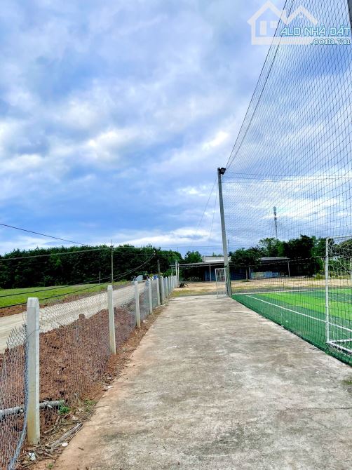 Bán 1,5ha đất trung tâm thị trấn Tấn Châu Tây Ninh - 4