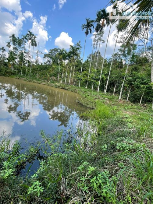 💥  CẦN BÁN 3,3 SÀO ĐẤT VIEW HỒ SUỐI TẠI HOÀ THẮNG- TP. BMT- 8 TỶ - 5