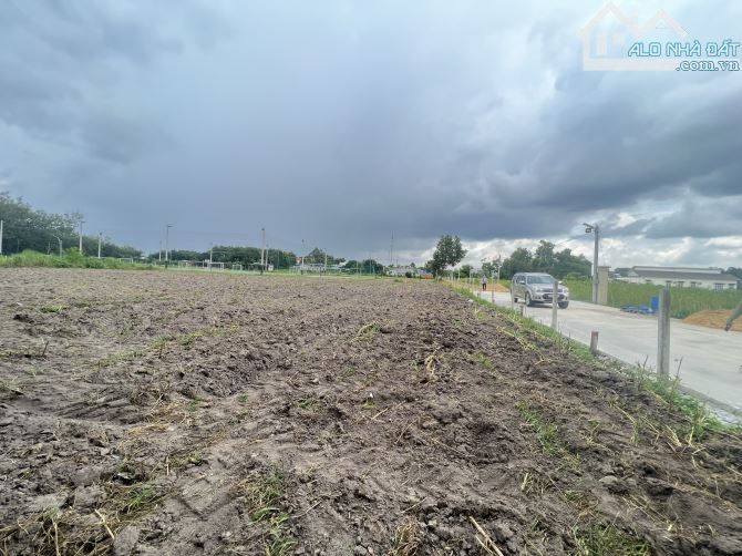 Bán 1,5ha đất trung tâm thị trấn Tấn Châu Tây Ninh - 5