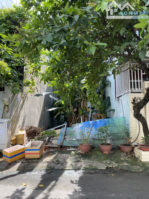 Bán đất mặt đường số 9 An Phú An Khánh Quận 2 cũ gần chợ Đo Đạc (100m2) 167 tr/m2 - 5