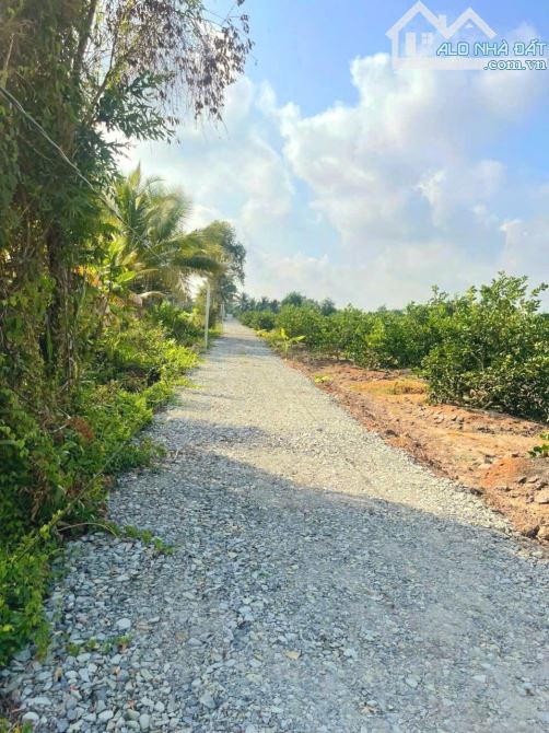 Hàng thơm, chỉ 420tr sở hữu lô góc 500m2 đất vườn view kênh - 6