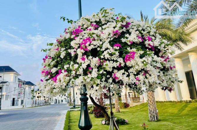 Biệt Thự Vườn Cam Nơi Mơ Bình An, Chốn Ước Sum Vầy Lô Góc View Hồ Giá Đầu Tư 120 Triệu 1m2 - 7