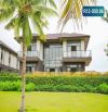 Biệt thự rẻ hơn đất nền, người Sài Gòn chưa biết nhưng các nhà đầu tư HN đang gom tất tay