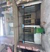 🏡  🏡 🏡 CHỈ 3.95 T.Ỷ CÓ NHÀ HẺM XE HƠI TÂN THỚI NHẤT QUẬN 12- 55M2- 2T-2PN-🍀
