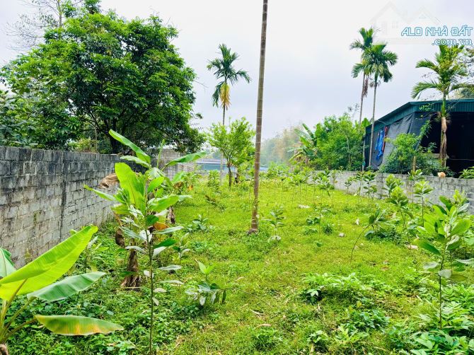 ổng DT 347m Full đất ở đô thị, Thị Trấn Bo, Kim Bôi, Hòa Bình.