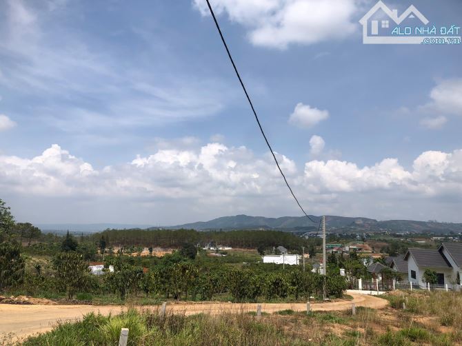 🌿 BÁN ĐẤT VIEW ĐẸP GIÁP RỪNG THÔNG – TIỀM NĂNG CAO TẠI LÂM HÀ - 3.2 TỶ