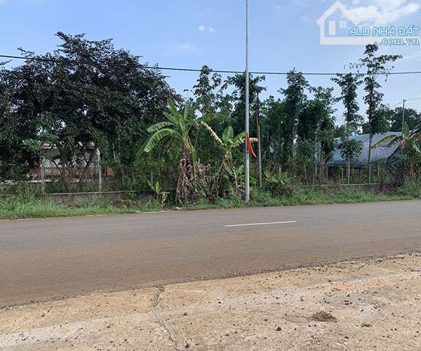 Cần Bán Đất Xà Bang Châu Đức – 2 Mặt Tiền Đường Nhựa, Sổ Hồng Riêng, Gần KCN